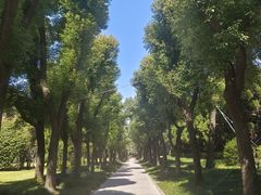 -宋庆龄陵园