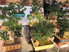 -秦美花卉(天朗·莱茵小城2期店)