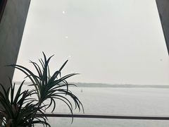 -抱抱地球咖啡馆(国家海洋博物馆店)