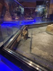 -未来动物城动物主题公园(大悦城店)