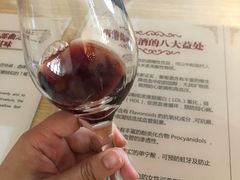-北京张裕爱斐堡酒庄