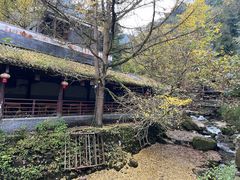-青城山