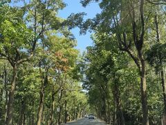 -上海海湾国家森林公园