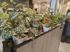 -曾家厨房·新徽菜(九华山路店)
