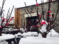 -瓦库茶馆17号(海汇港店)