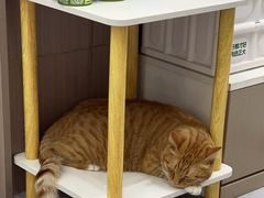 -派特宠物医院(圆融广场店)