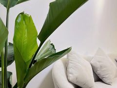 -百联南桥购物中心