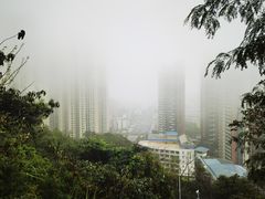 -梧桐山风景名胜区