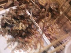 -管氏翅吧(国展店)