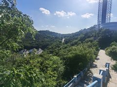 -富斯特索道
