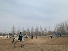 -北京群众马术培训基地