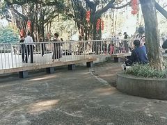 -荔湾湖公园