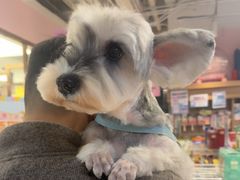 -FAELING PETS美天灵宠物(富力广场店)