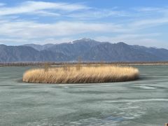 -野鸭湖国家湿地公园