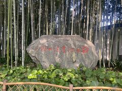 -上海醉白池公园