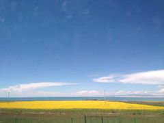 -青海湖国家重点风景名胜区
