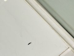 -北京希尔顿逸林酒店