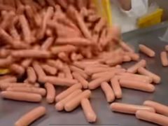 -绿堤公园