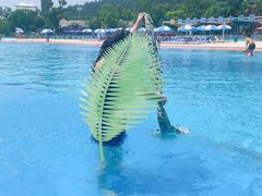 -苏州乐园森林水世界