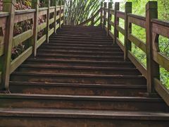 -凤栖山
