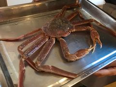-綱元·海鲜豆捞(明州里店)