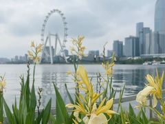 -金鸡湖景区