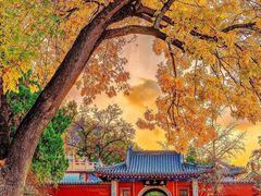 -千佛山风景名胜区