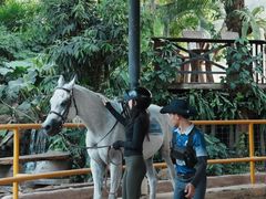 -Ohkajhu Organic Farm Sansai