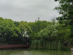 -青枫公园