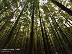 -山王坪喀斯特国家生态公园
