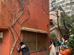 -嘉善老市