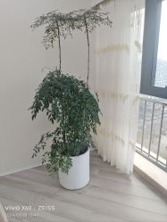 -HEYAN荷妍专业脱毛连锁机构
