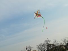 -田园东方蜜桃村的田野营地
