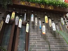 -小洲村