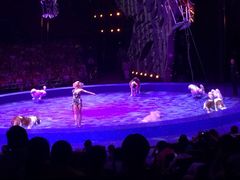 iphone_upload_pic-珠海横琴长隆《卡卡虎奇遇记》