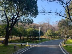 -宝界山林公园