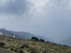 -白草畔自然风景区