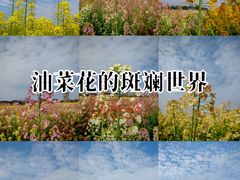 -中国天府农业博览园