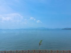 -七鲜渔港美食餐厅(巽寮湾海景店)