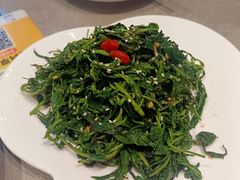 凉拌枸杞芽-白香源·滩羊小馆·手抓羊肉(西安路店)