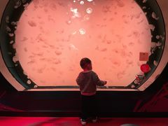 -沈阳海洋探索中心