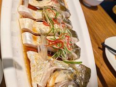 -花舍·新派粤菜·西餐·下午茶(亚运村·鸟巢店)