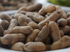 -三亚火车头万人海鲜广场