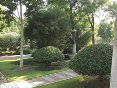 -滨湖塘西河公园