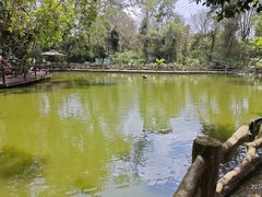 -海南热带野生动植物园