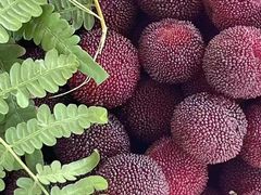 -东山风景区(洞庭东山)