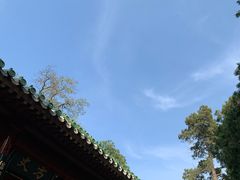 -少林寺欢喜地素斋馆