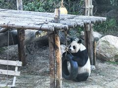 -宁波野生动物园