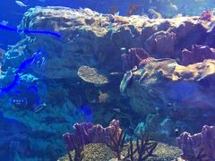-海合安成都极地海洋公园