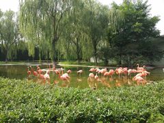 -石家庄市动物园